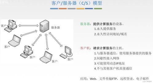 計算機網絡基礎第六章 計算機軟硬件及網絡技術開發